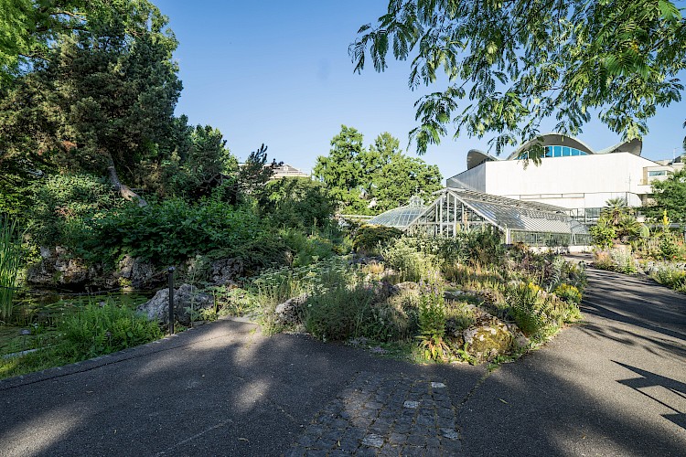 Botanischer Garten