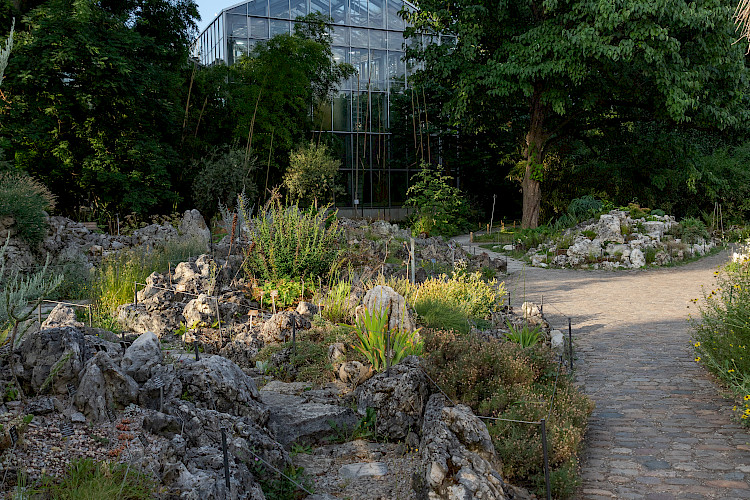 Botanischer Garten