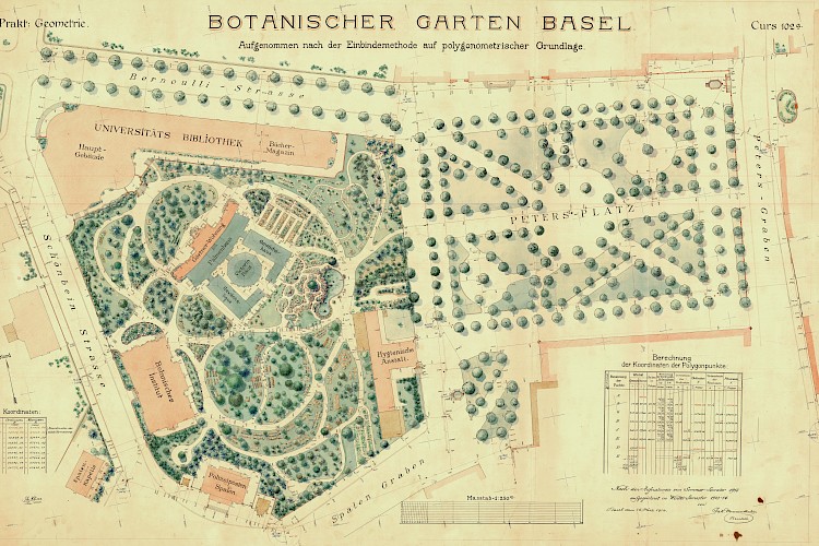 Botanischer Garten