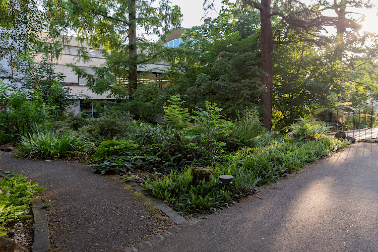 Botanischer Garten