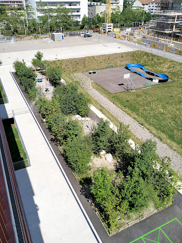 Schulhaus Lysbüchel