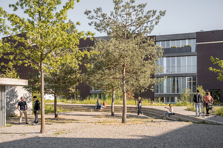 Hinter Gärten Riehen