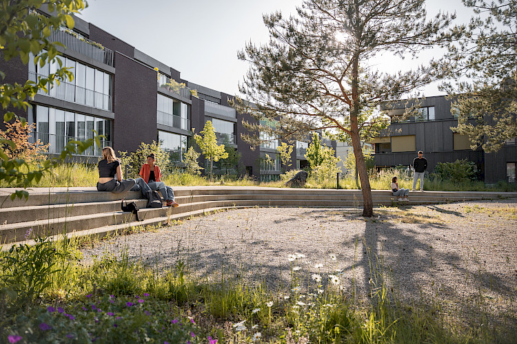 Hinter Gärten Riehen