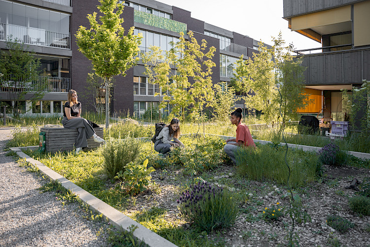 Hinter Gärten Riehen