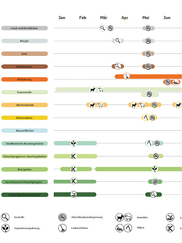 AKTUELL: Parkpflege als Prozess