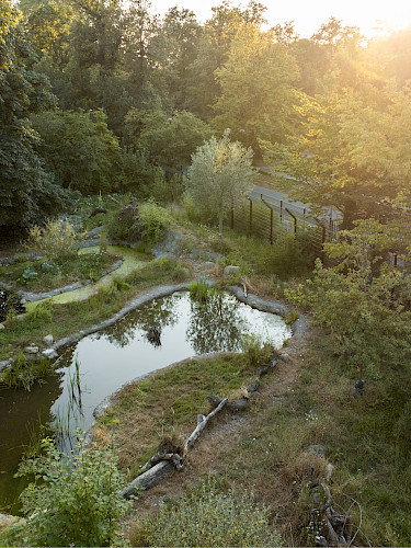 AKTUELL: Parkpflege als Prozess