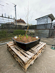 AKTUELL: Versuchsanlage Stadtmoor