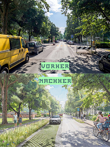 AKTUELL: Klima- und Verkehrsmassnahmen im Grauraum