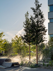 Freilager-Platz, Münchenstein