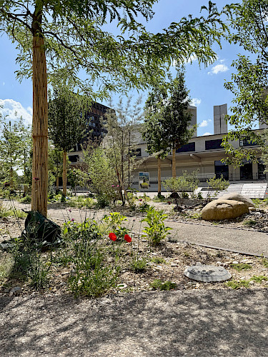AKTUELL: Entsiegelung Freilager-Platz, Münchenstein