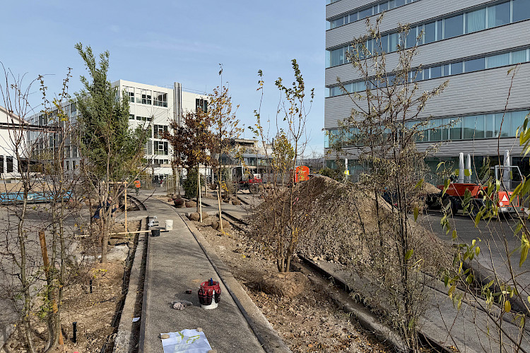AKTUELL: Entsiegelung Freilager-Platz, Münchenstein